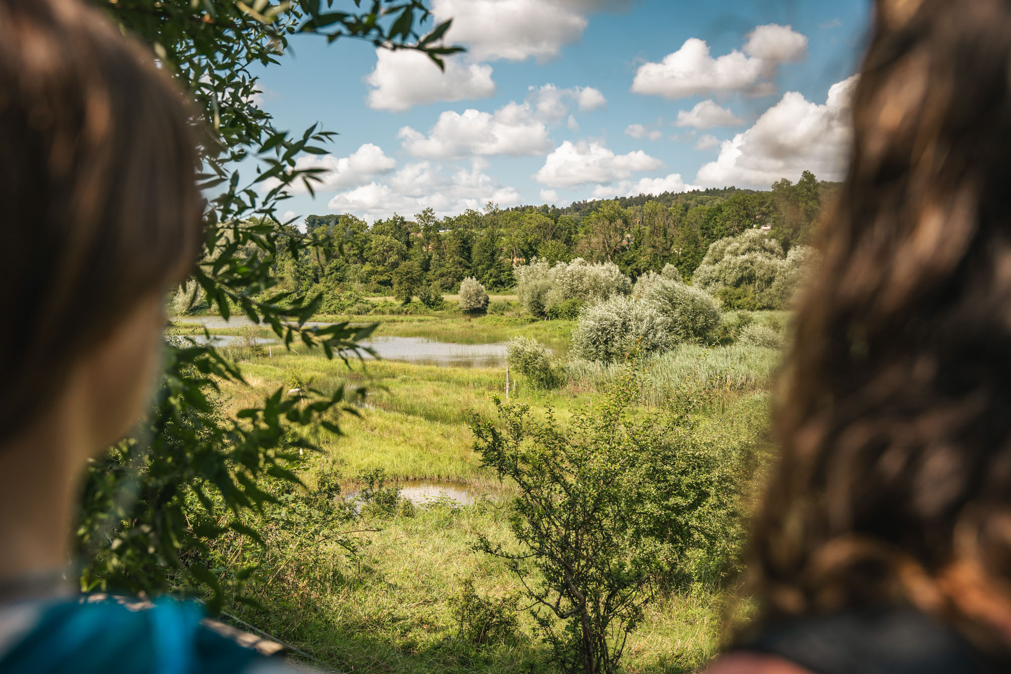 Naturschutzgebiet Auried